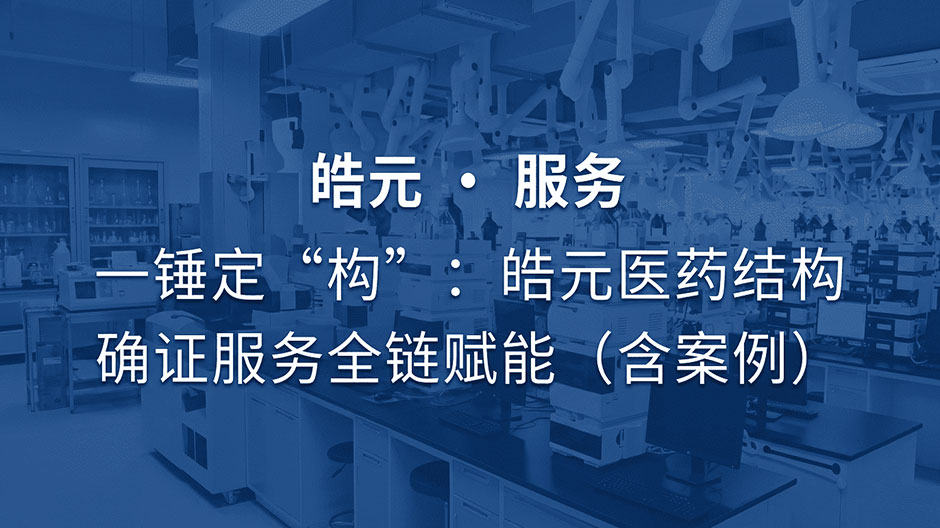 【皓元・服务】一锤定 “构”：皓元医药结构确证服务全链赋能（含案例）